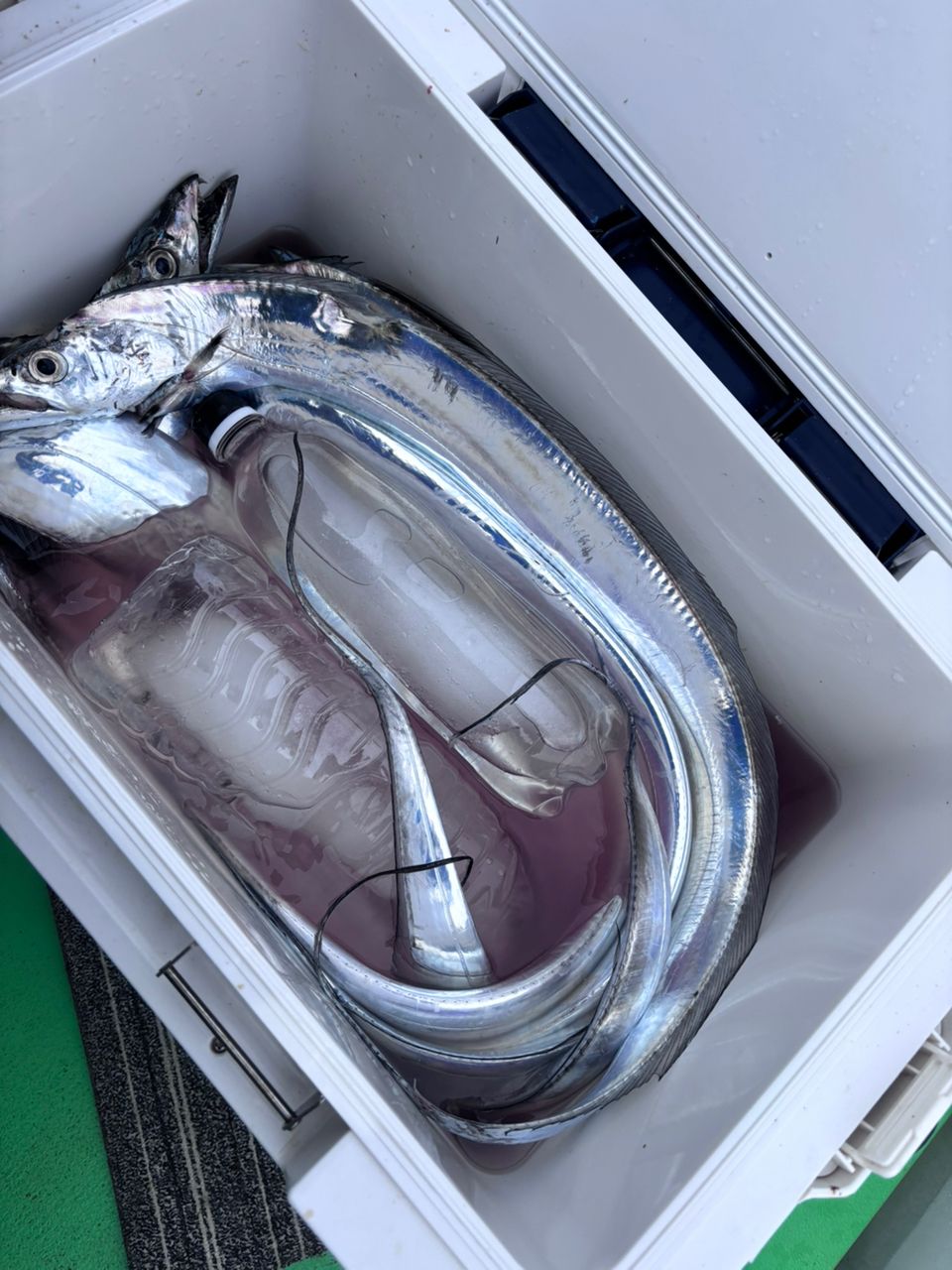 DAIWA 19鏡牙 X 63B-1.5の最安値・インプレ・釣果 | 本音の口コミが