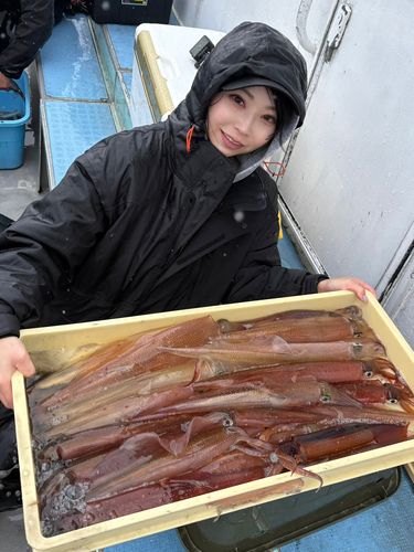 ヤリイカの釣果