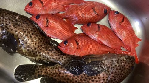 釣果