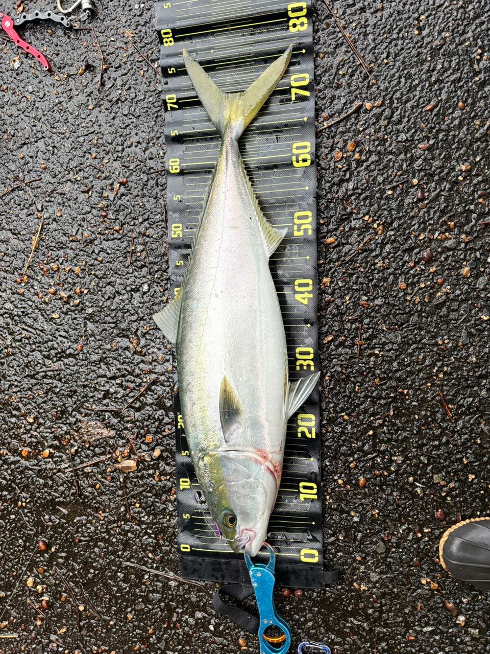 SHIMANO 23ディアルーナ S96MHの最安値・インプレ・釣果 | 本音の