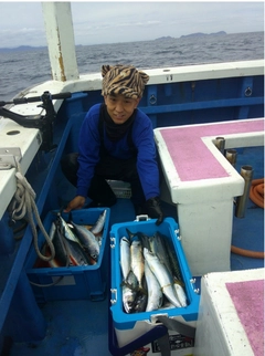 サバの釣果