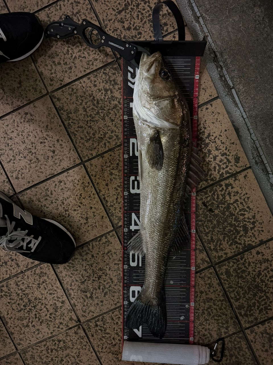 DAIWA モアザン ブランジーノ EX AGS 2021年モデルの最安値・インプレ