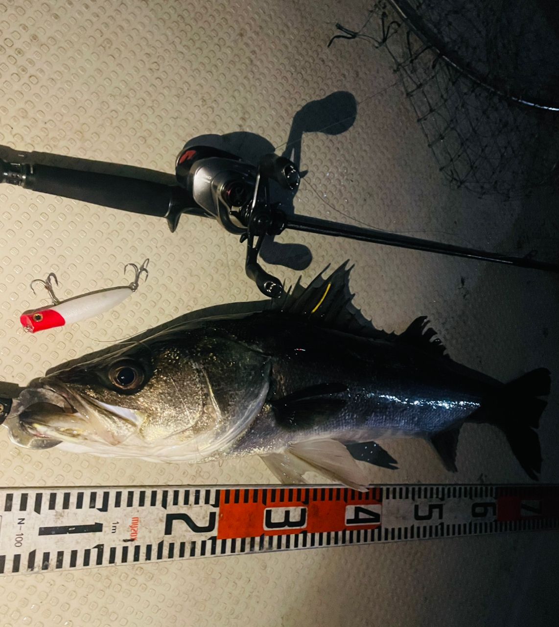 SHIMANO 21スコーピオン DC 150XG RIGHTの最安値・インプレ・釣果