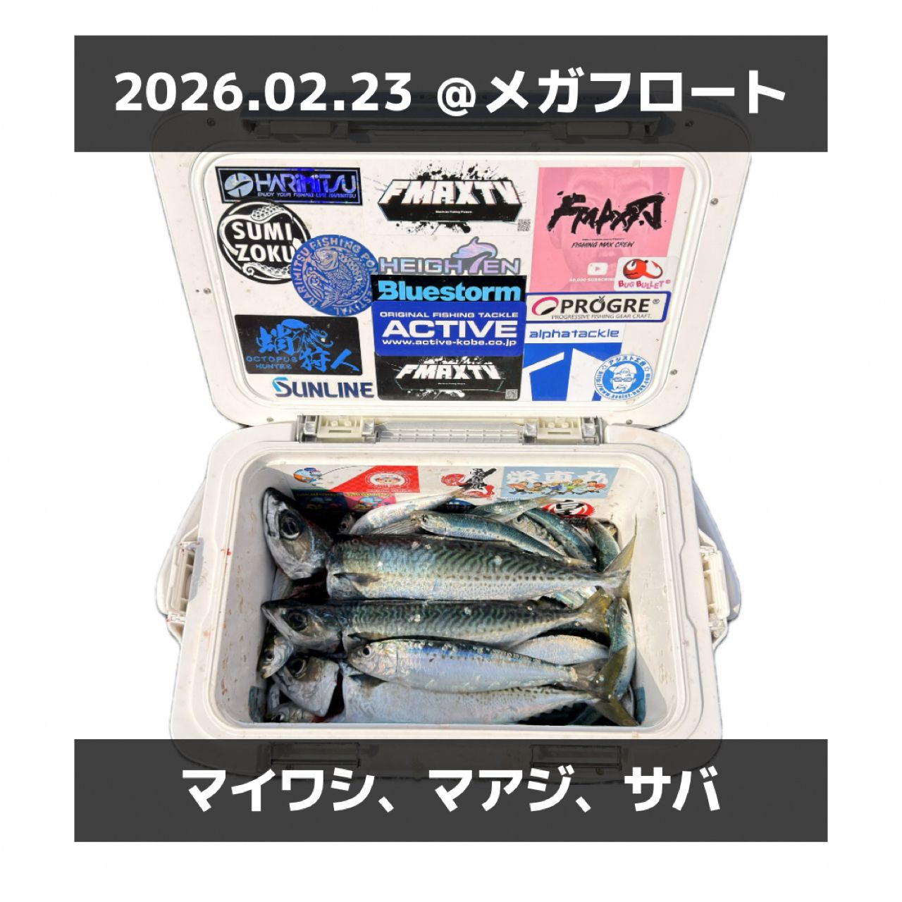 SHIMANO 17サハラ C3000HGの最安値・インプレ・釣果 | 本音の口コミが