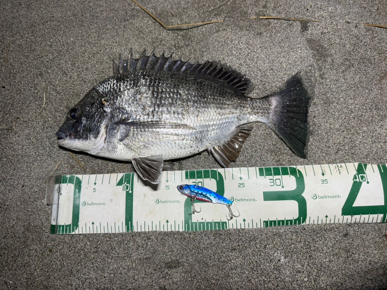 GCRAFT セブンセンスTR モンスターサーフ MSS-1072-TRの最安値