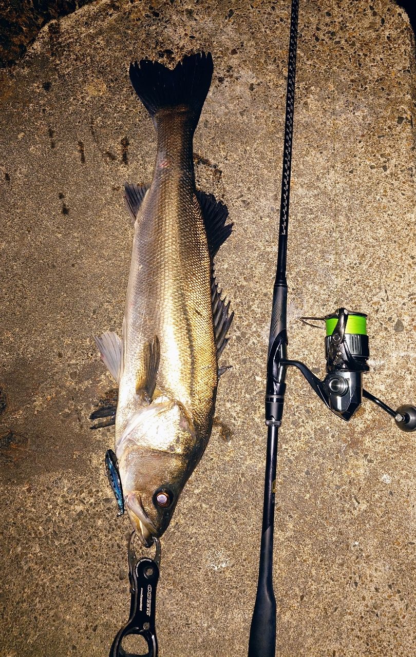 SHIMANO 22エクスセンス ∞ (インフィニティ) S96Mの最安値・インプレ