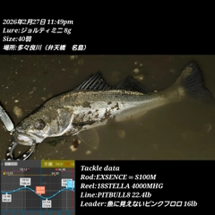 シーバスの釣果