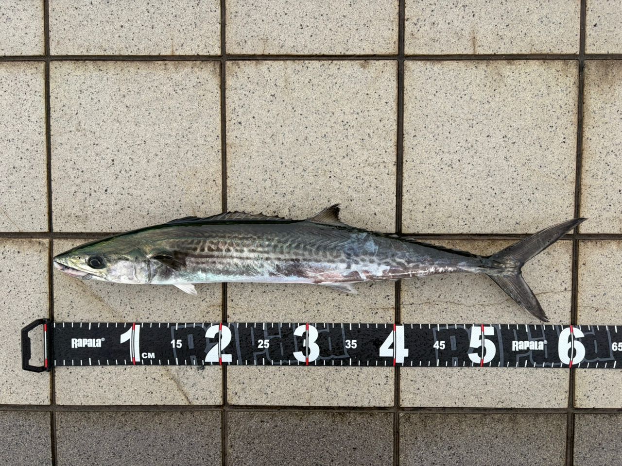 JACKALL ビーアールエス BRS-S100MLMH BURI CUSTOMの最安値・インプレ