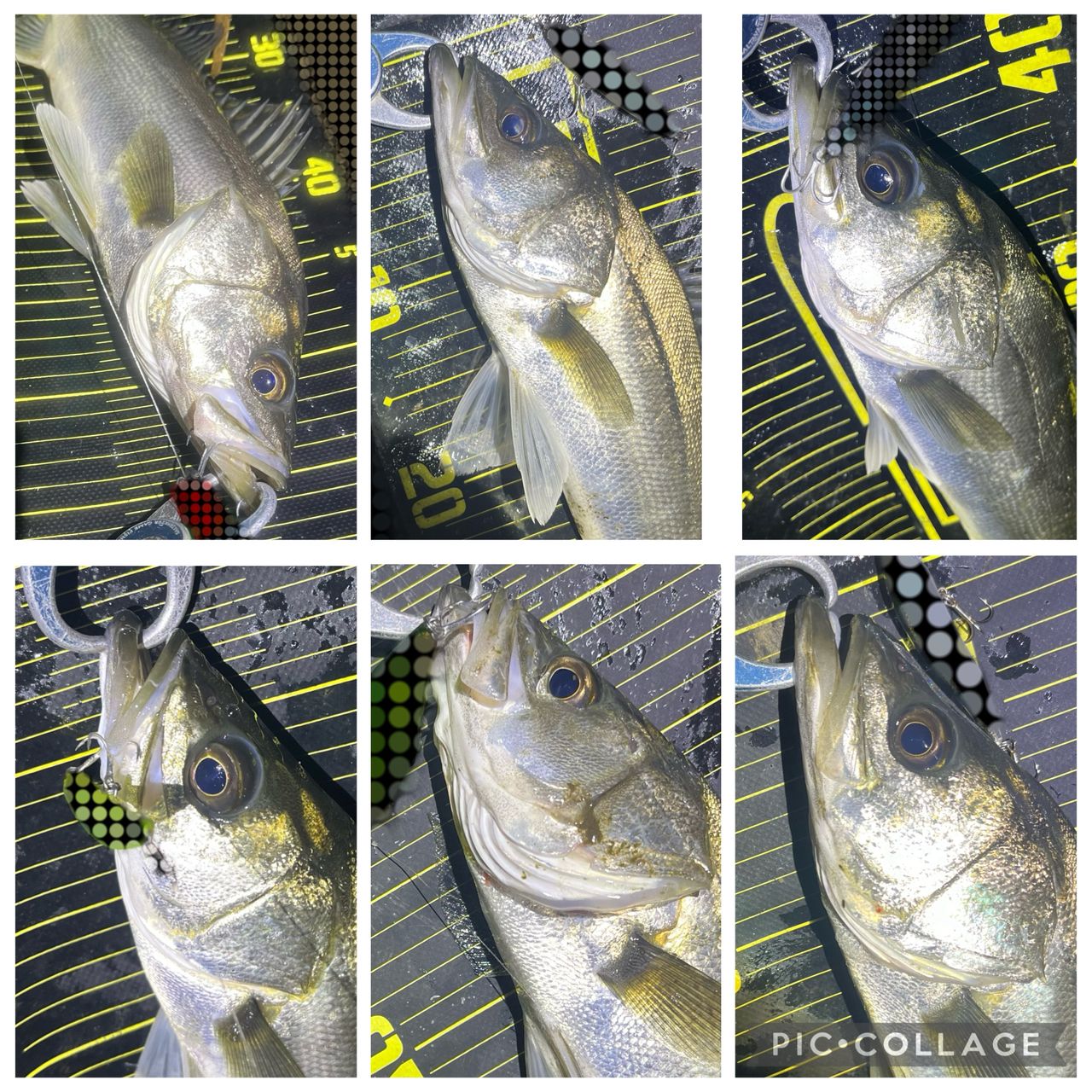 APIA フージン' Z GENEROUS 94Mの最安値・インプレ・釣果 | 本音の