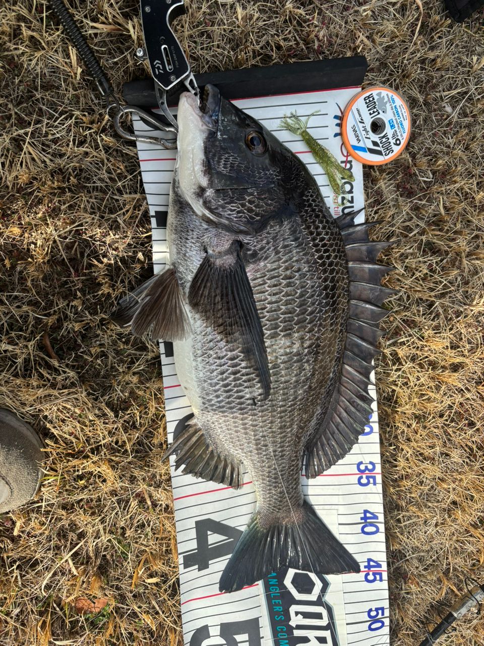 SHIMANO 20ゾディアス 270M-2の最安値・インプレ・釣果 | 本音の口コミ