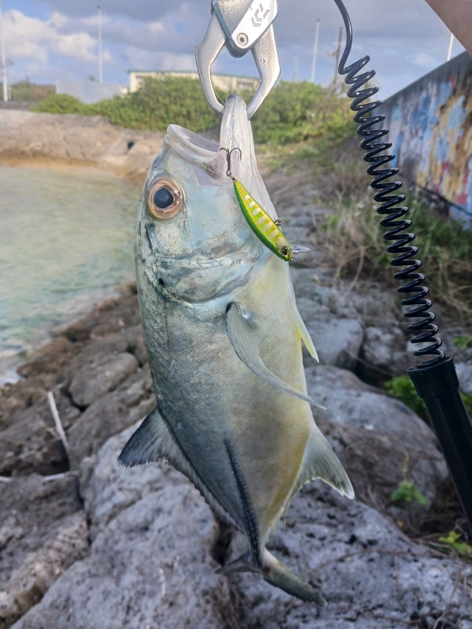 SHIMANO 21ソアレXR S68UL-Sの最安値・インプレ・釣果 | 本音の口コミ