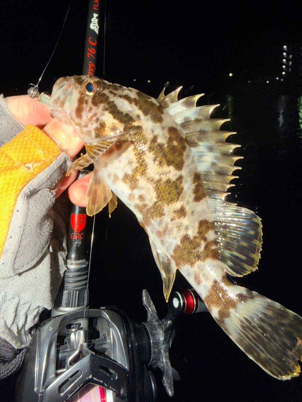 TULALA 18グルービー 76Cの最安値・インプレ・釣果 | 本音の口コミが