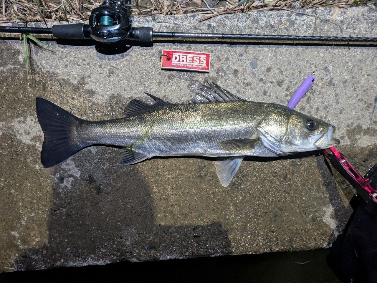 SHIMANO 18ディアルーナ B86Mの最安値・インプレ・釣果 | 本音の口コミ