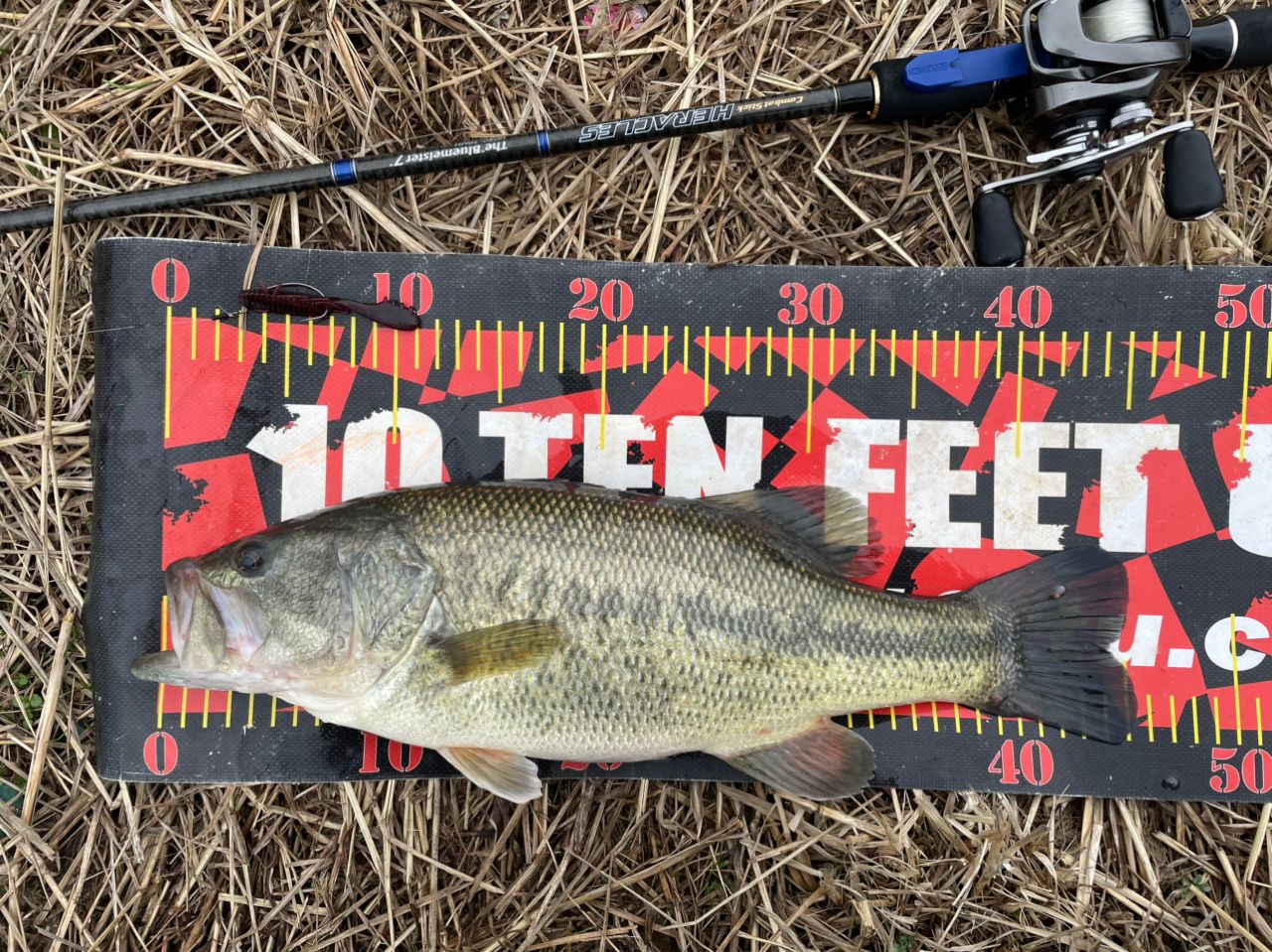 SHIMANO 20メタニウム HG LEFTの最安値・インプレ・釣果 | 本音の