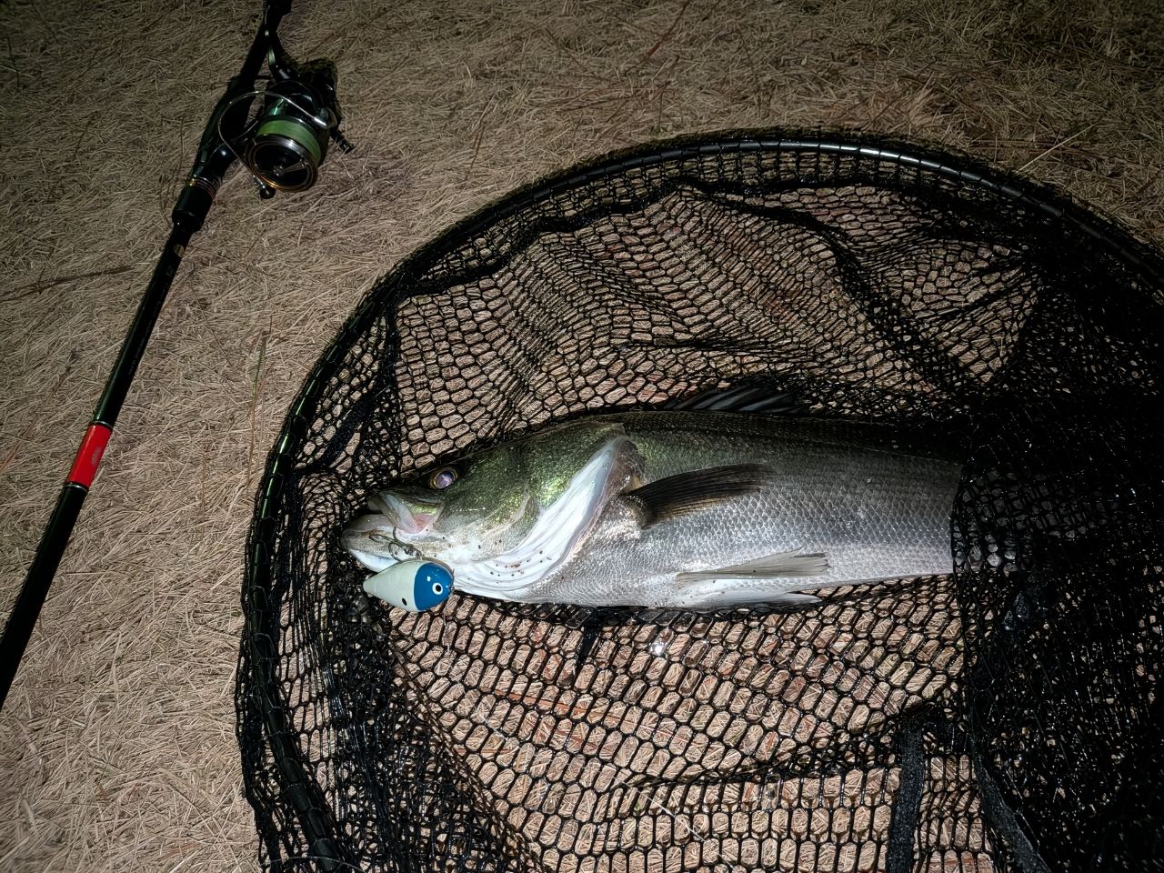 APIA 21フージン'RS 95MHの最安値・インプレ・釣果 | 本音の口コミ