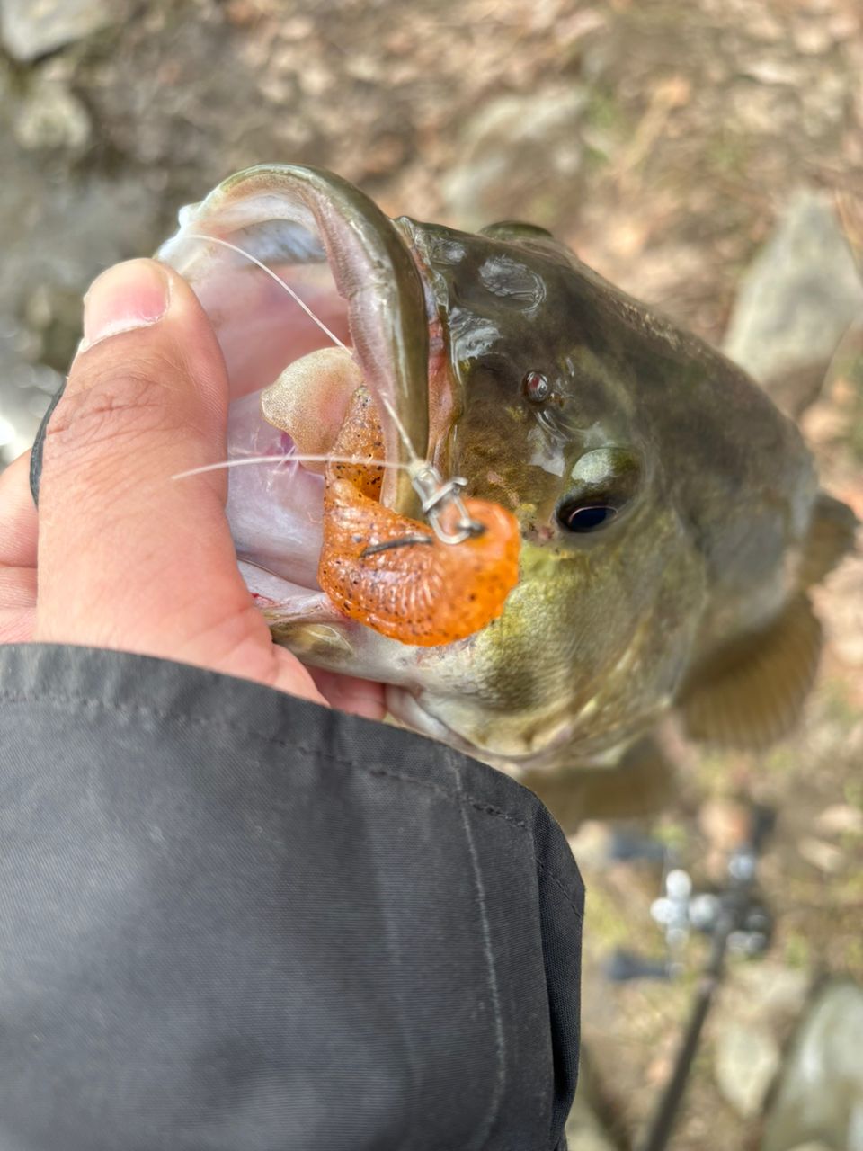 SHIMANO 20メタニウム HG LEFTの最安値・インプレ・釣果 | 本音の