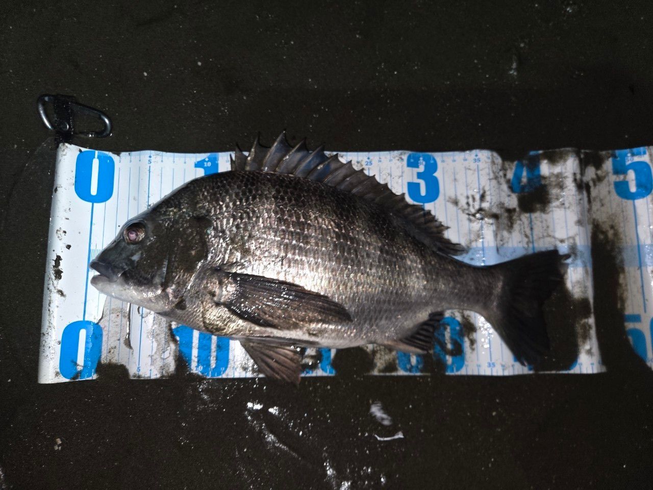 APIA 21フージン'RS 88MLの最安値・インプレ・釣果 | 本音の口コミ