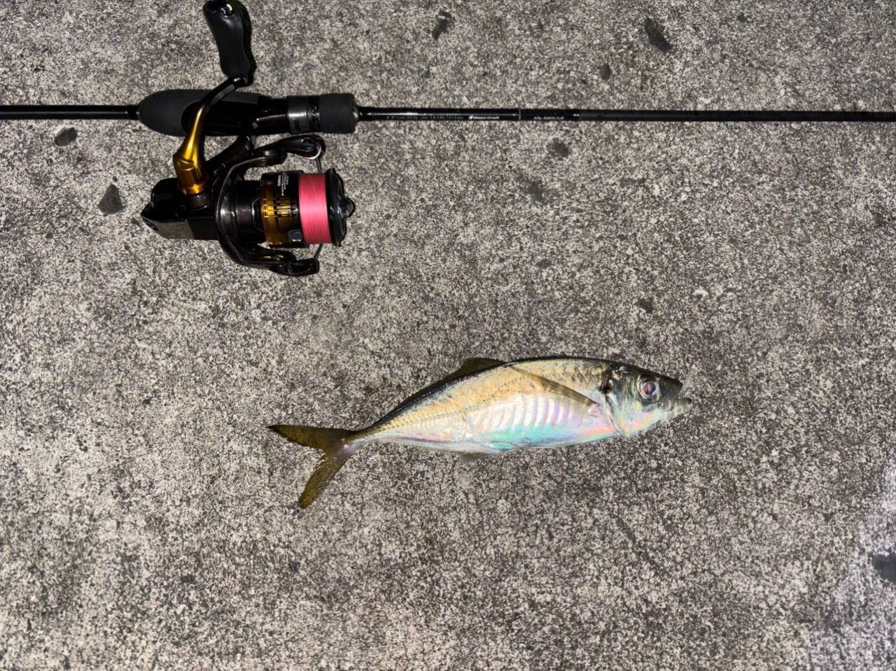 MajorCraft 鯵道 5G AD5-S682L/AJIの最安値・インプレ・釣果 | 本音の