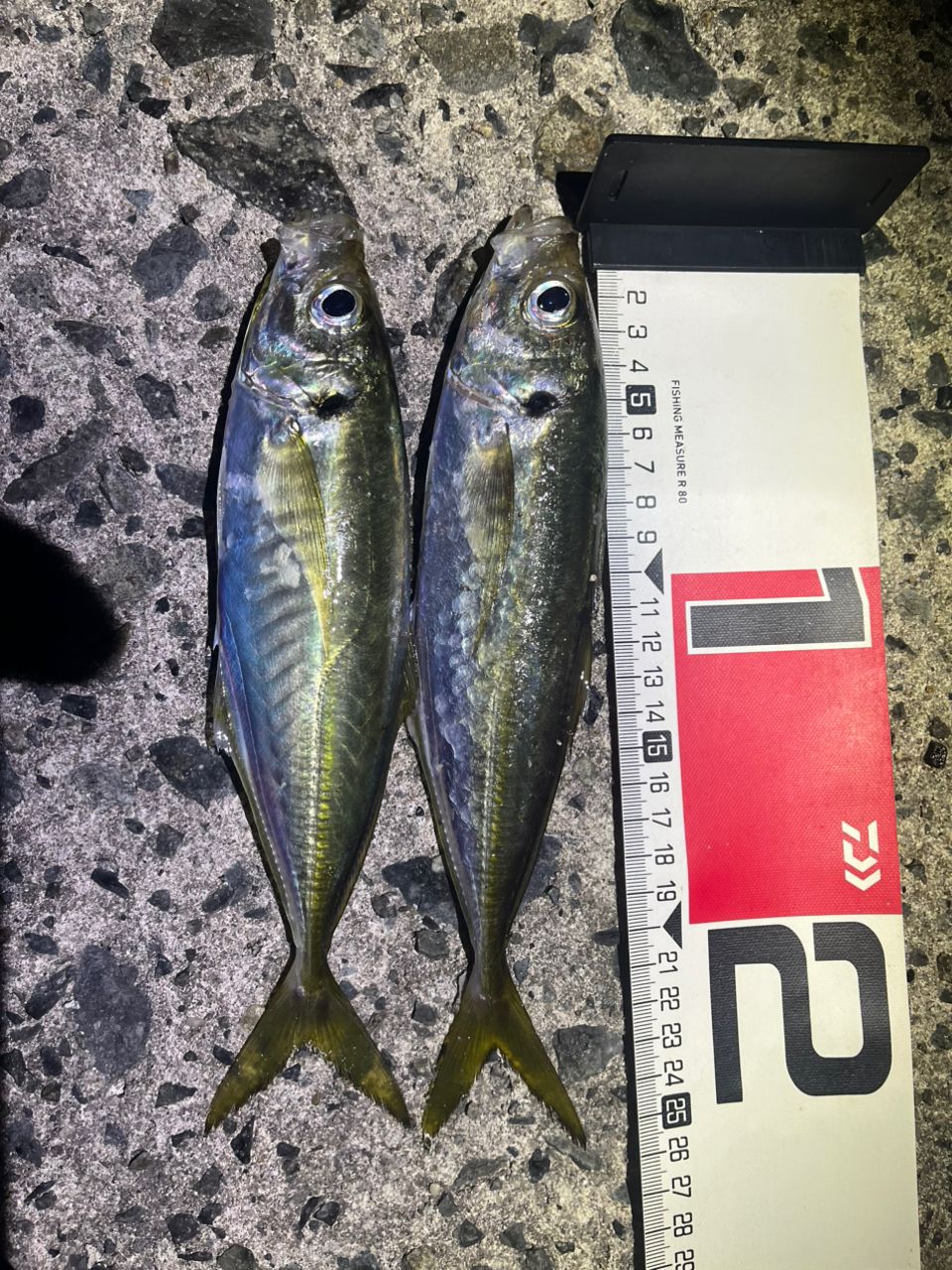 SHIMANO 23ヴァンキッシュ C2000Sの最安値・インプレ・釣果 | 本音の