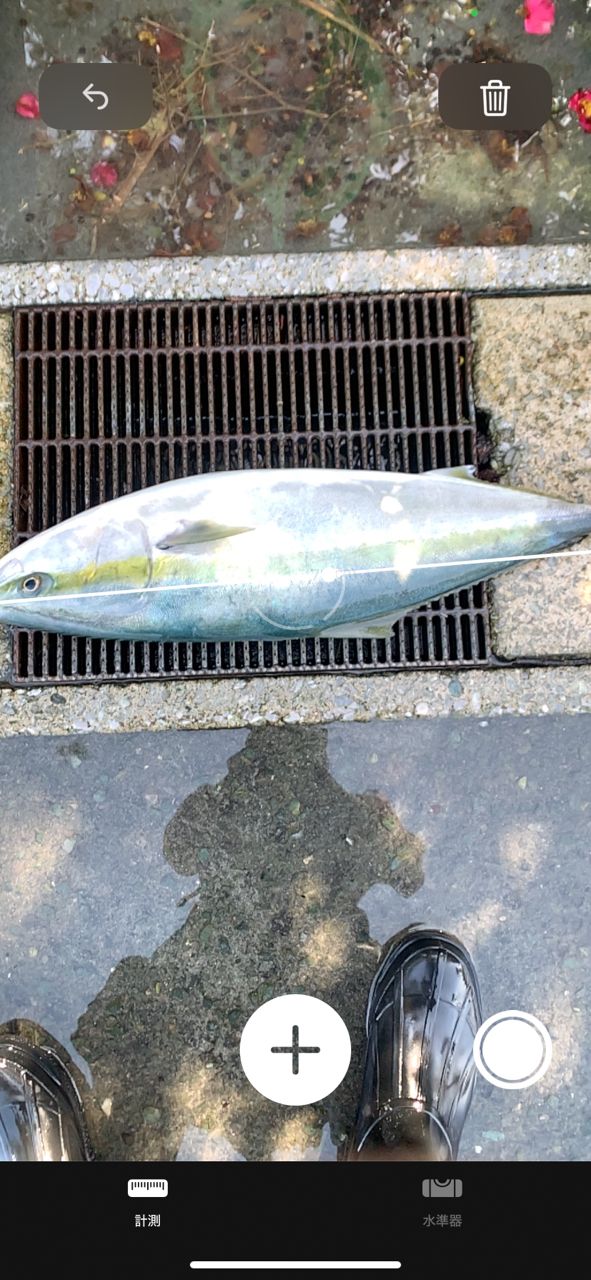 SHIMANO 22ネッサ BB S106MHの最安値・インプレ・釣果 | 本音の口コミ