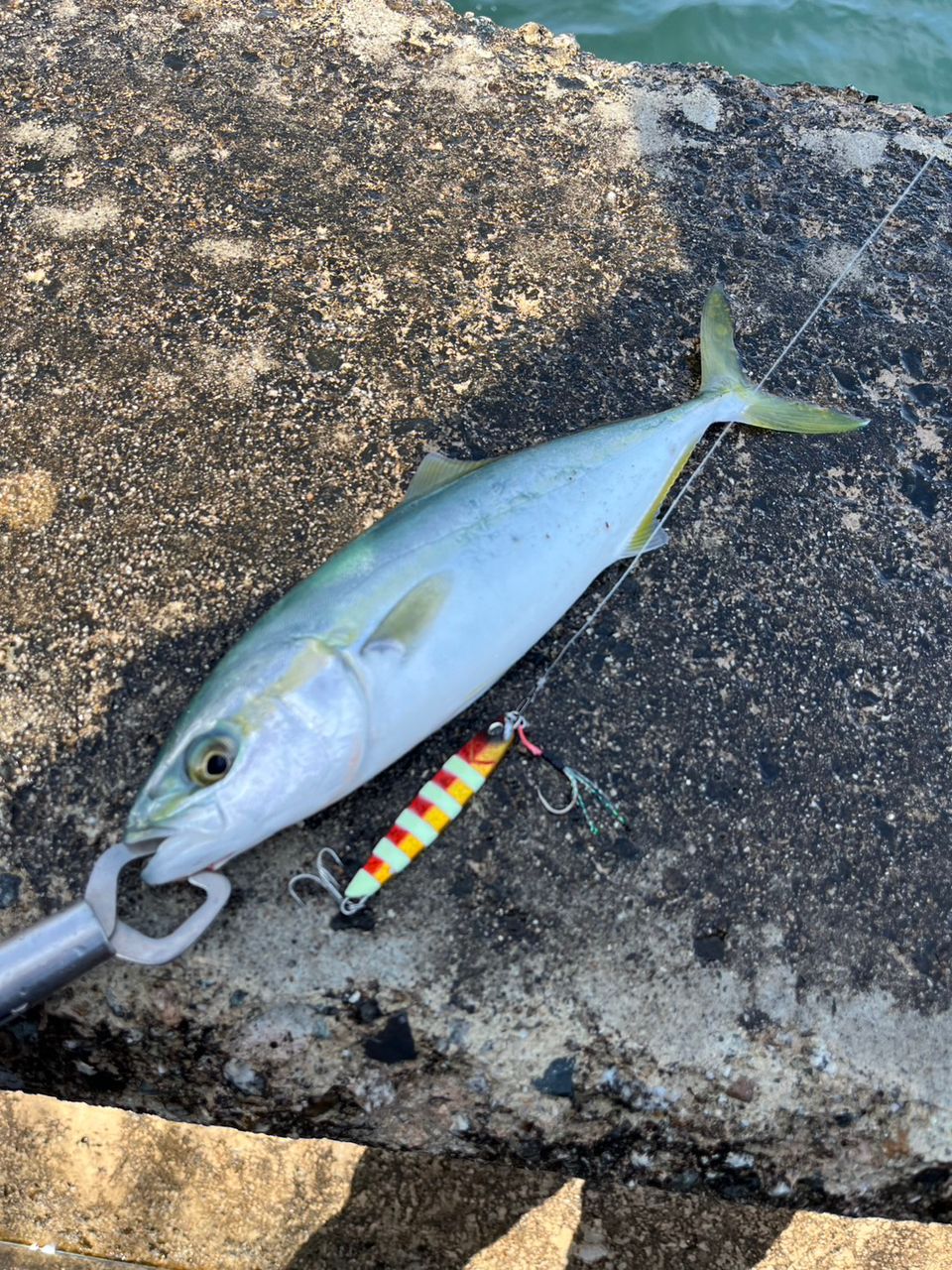 DAIWA 13ジグキャスター MX 96Mの最安値・インプレ・釣果 | 本音の