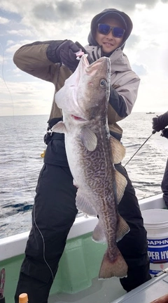 マダラの釣果