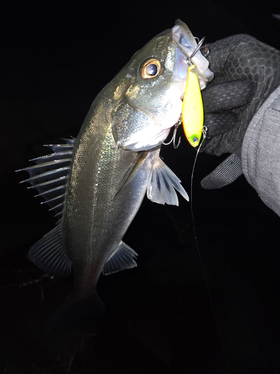 TENRYU スワット SW932S-LMLの最安値・インプレ・釣果 | 本音の口コミ