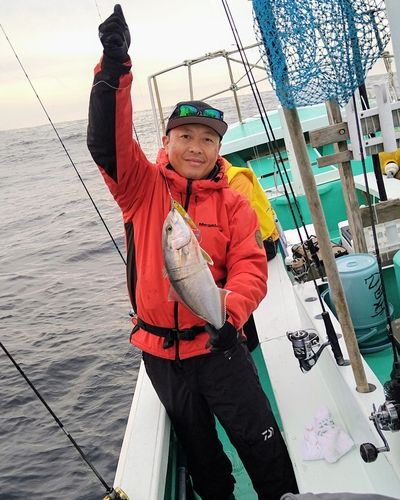 ショゴの釣果