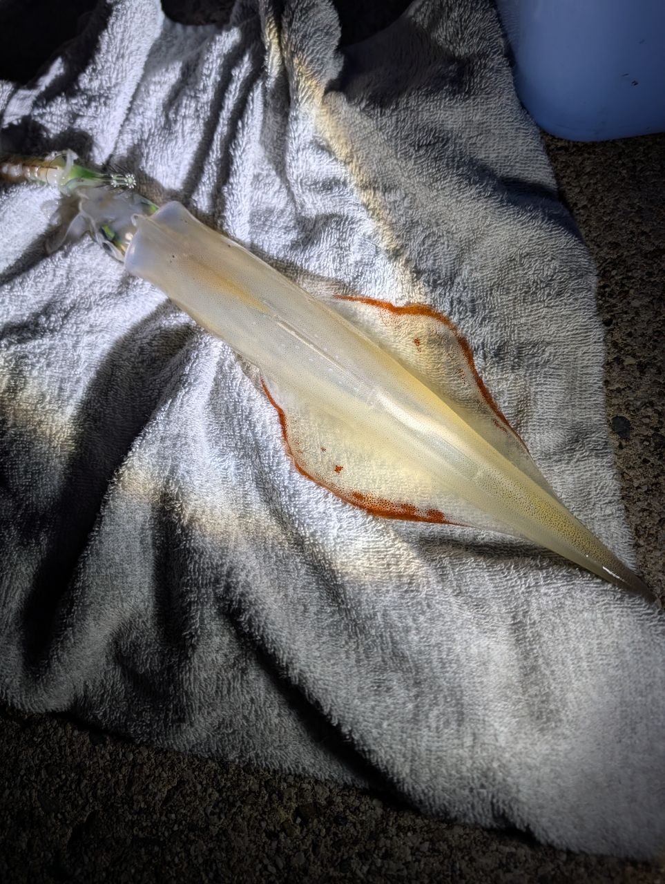 SHIMANO ネッサ BB S1008MMHの最安値・インプレ・釣果 | 本音の口コミ