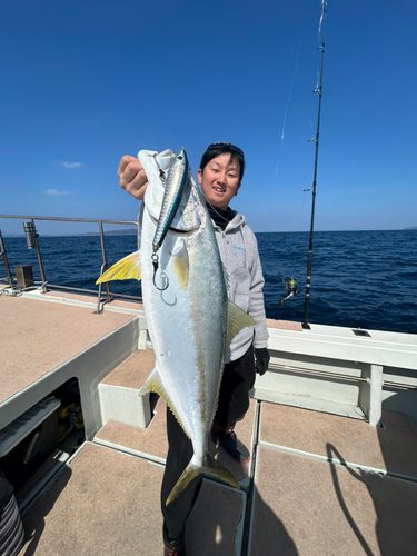 ヒラマサの釣果