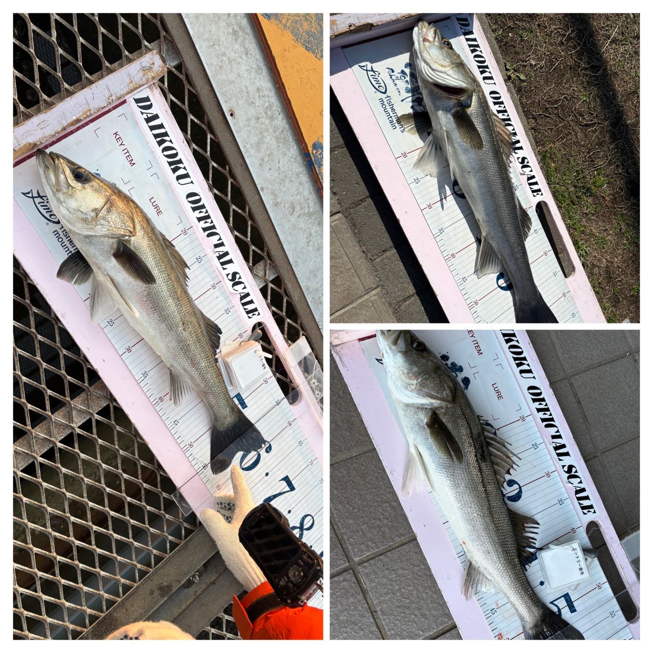 DAIWA 21ラブラックス AGS 93Mの最安値・インプレ・釣果 | 本音の