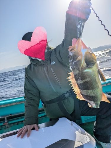 アオナの釣果
