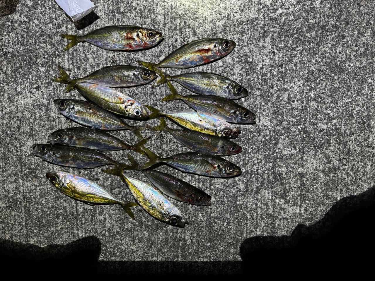 MajorCraft 鯵道 5G AD5-S502L/AJIの最安値・インプレ・釣果 | 本音の