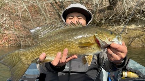 スモールマウスバスの釣果