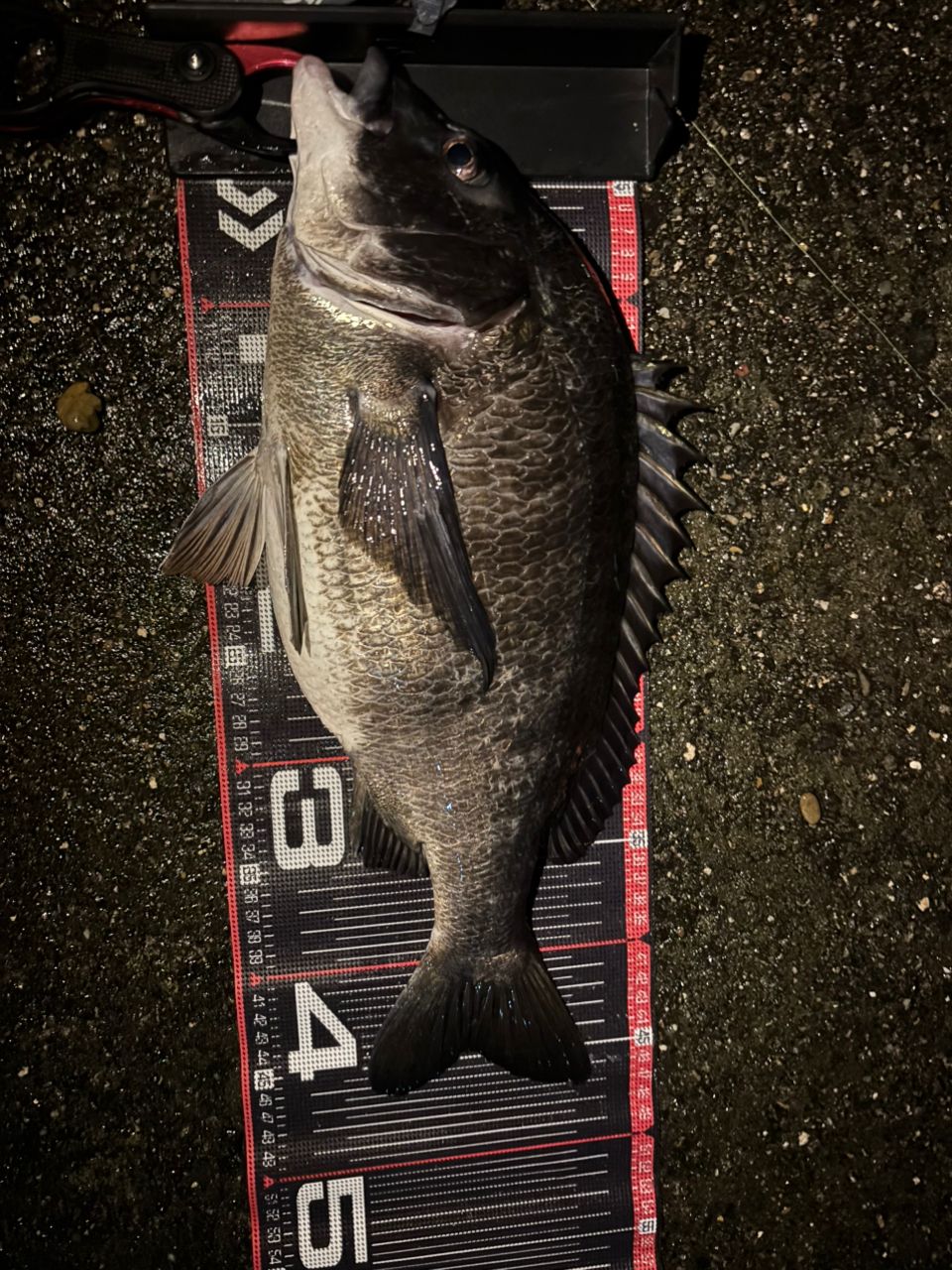 SHIMANO 18ディアルーナ S90MLの最安値・インプレ・釣果 | 本音の