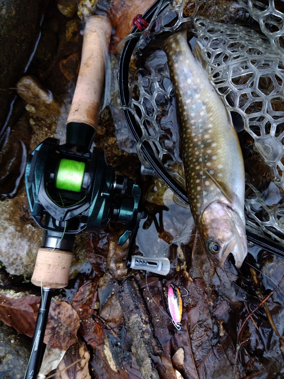 SHIMANO 24トラウトワン NS B48UL-G/4の最安値・インプレ・釣果 | 本音