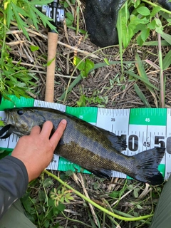 釣果