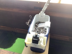 ワカサギの釣果