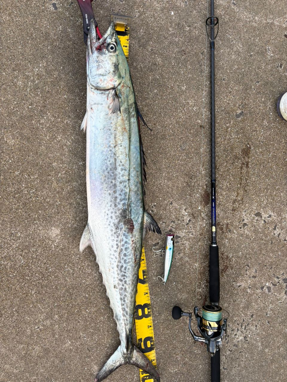 SHIMANO 21コルトスナイパーBB S96MHの最安値・インプレ・釣果 | 本音