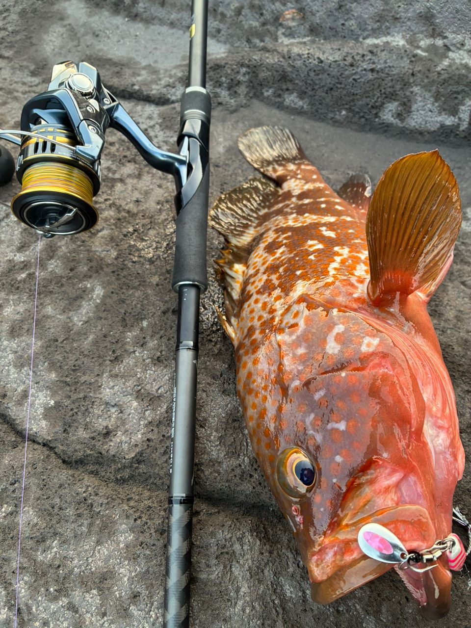 SHIMANO 18ディアルーナ S106MHの最安値・インプレ・釣果 | 本音の