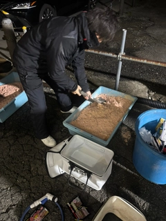 メジナの釣果
