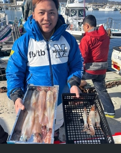 ヤリイカの釣果
