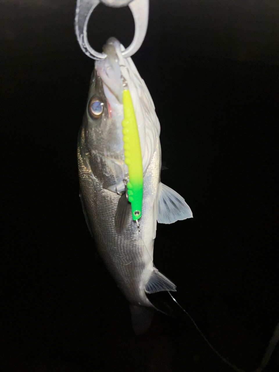 DAIWA 21モアザン ブランジーノ EX AGS 94MLの最安値・インプレ・釣果