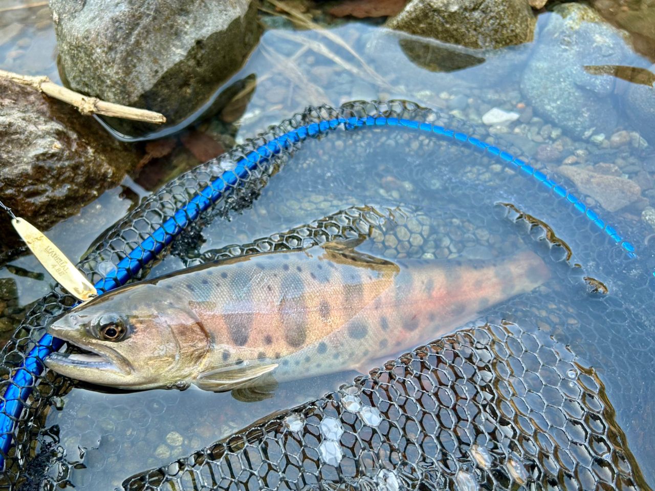 AbuGarcia ズームサファリ ZMSC-464Lの最安値・インプレ・釣果 | 本音