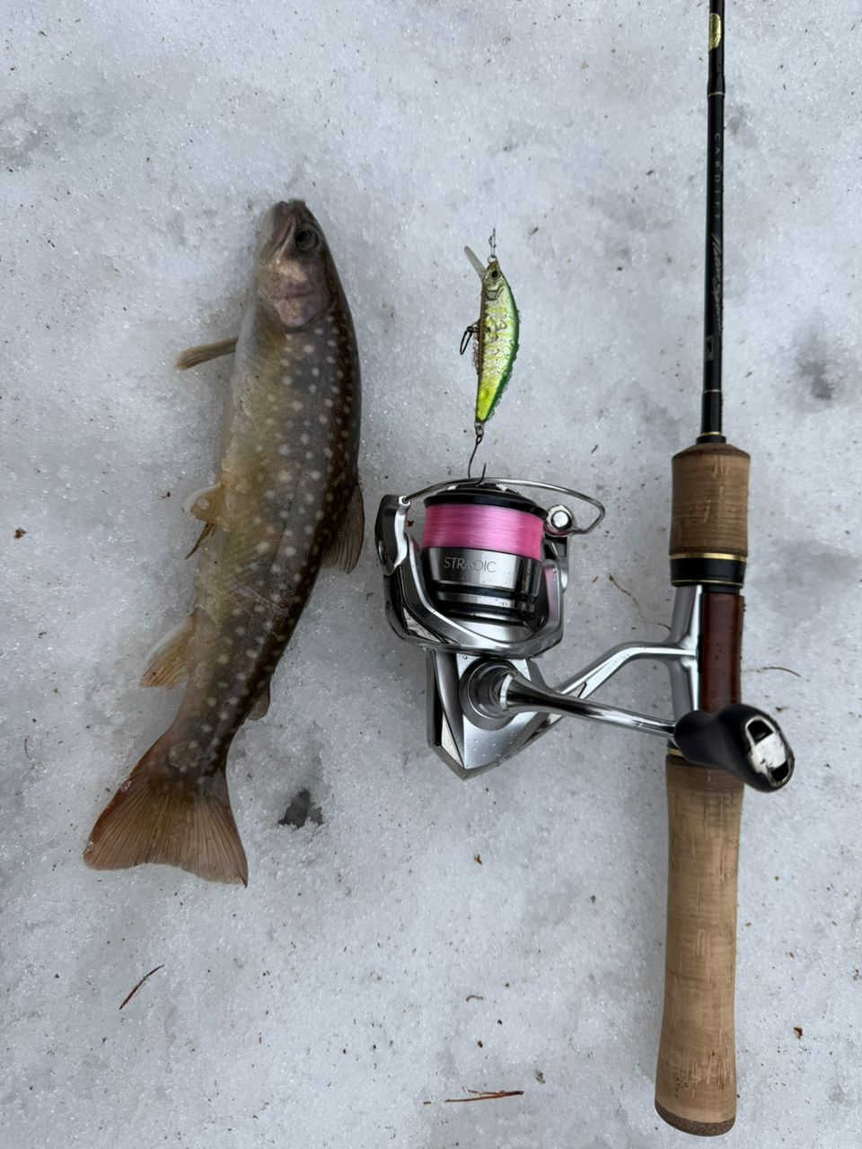 SHIMANO 19カーディフ ネイティブスペシャル S54ULの最安値・インプレ