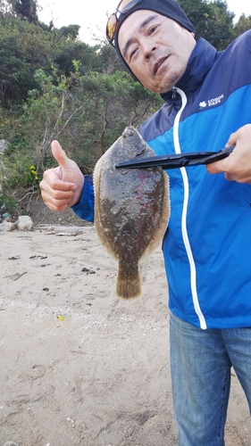 マコガレイの釣果