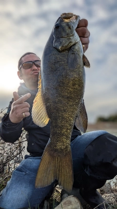 スモールマウスバスの釣果