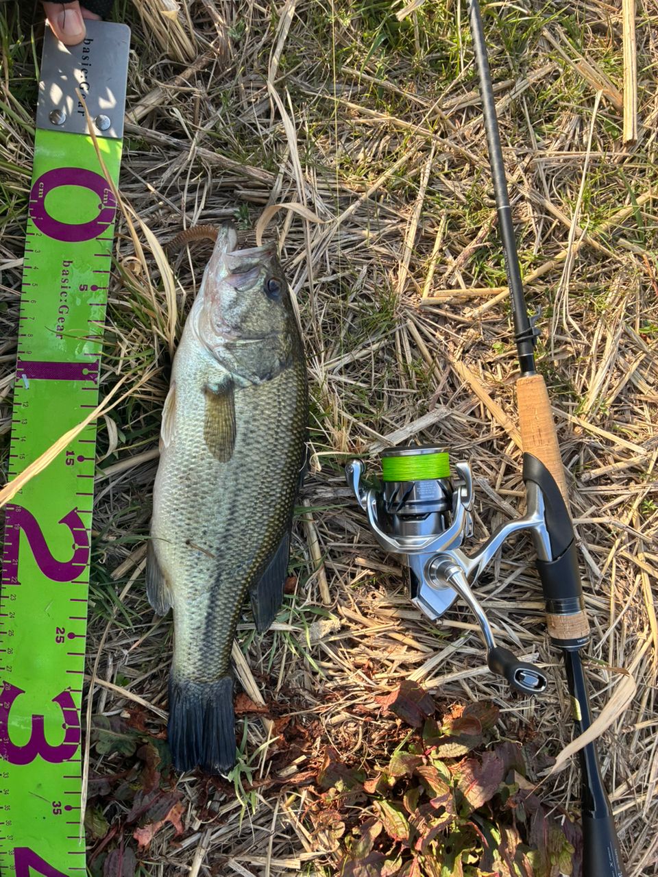 SHIMANO 22エクスプライド 263L-S/2の最安値・インプレ・釣果 | 本音の