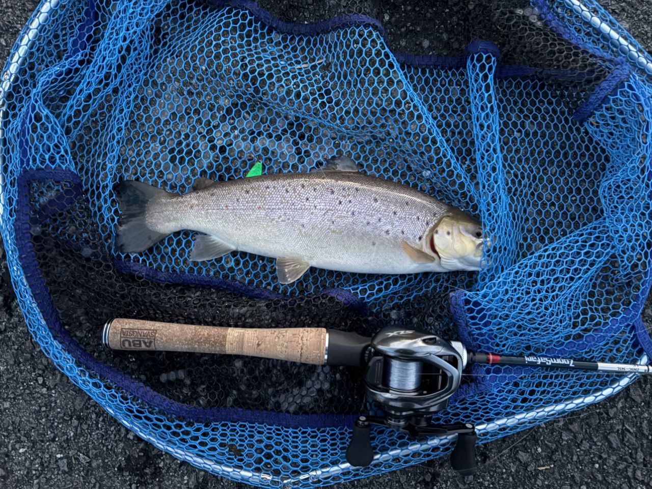 AbuGarcia ズームサファリ ZMSC-565Lの最安値・インプレ・釣果 | 本音