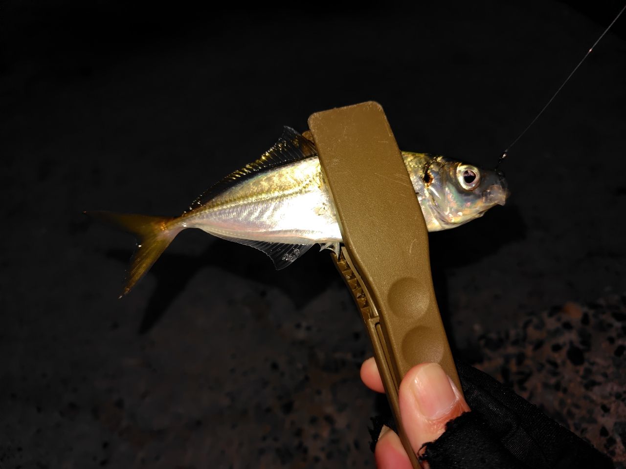 SHIMANO 21ソアレXR S64UL+-Sの最安値・インプレ・釣果 | 本音の口コミ